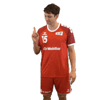 swisshandball_official handball schweiz swiss swisshandball Sticker