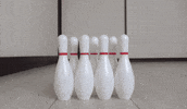 Cats Kitten GIF