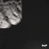 Adam Pally Fast Foodies GIF by truTV