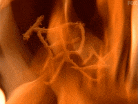 x files GIF by The X-Files