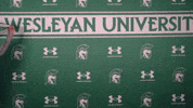 Iwuwvb24 GIF by iwusports