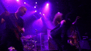 cscv cygnus xenoyr neobliviscaris danielpresland GIF