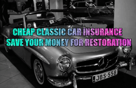 bdolbna giphygifmaker car insurance car insurance GIF