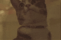 Music Video Yawn GIF by Grace Mitchell