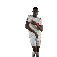 Fc Cologne Bundesliga Sticker by 1. FC Köln