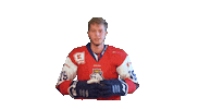 Parahockey Sticker by Flamingos Ostrava