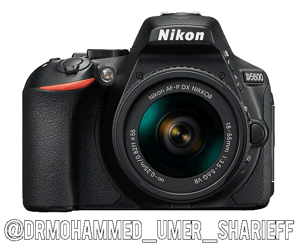 Nikoninstabadge D5600 Sticker by NikonIndia