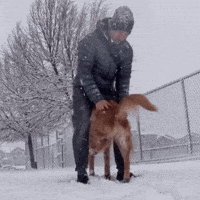 Funny Dog Nala GIF