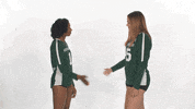 Huntington University Hu GIF by FDN Sports