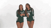 Huntington University Hu GIF by FDN Sports