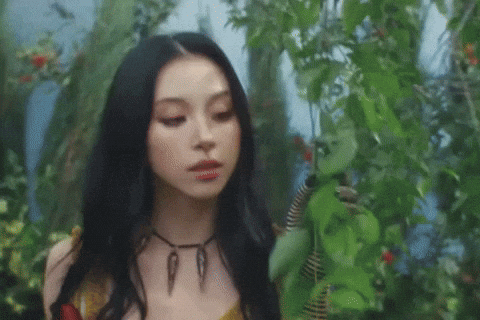 Shoot Firecracker GIF