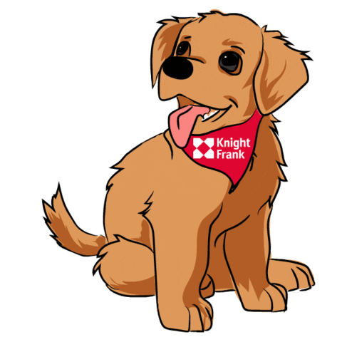 KnightFrankIreland giphyupload dog puppy golden retriever Sticker