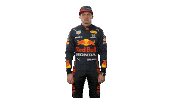 Ver Red Bull Sticker by Oracle Red Bull Racing