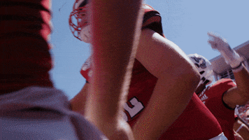 Nc State Wolfpack GIF by NC State Athletics