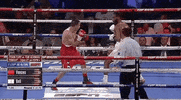 toprank fight boxing fighting espn GIF