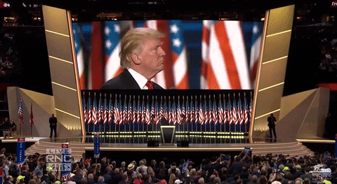 donald trump gop GIF by Election 2016