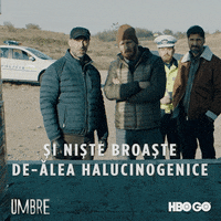 GIF by HBO Romania