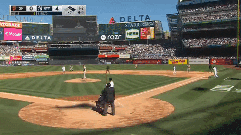 estee42 giphyupload GIF