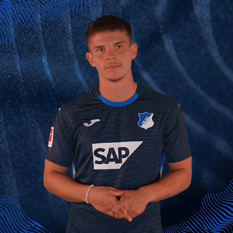 Sport Bundesliga GIF by TSG Hoffenheim