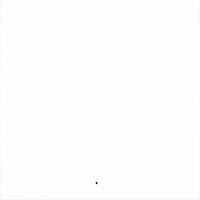 schnellebuntebilder coding generative dla vvvv GIF