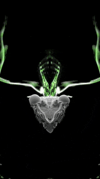 Science Fiction Election GIF by Komplex