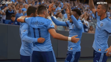GIF by NYCFC