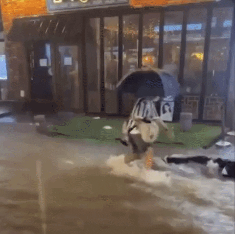 qwerpoiu22ppop giphyupload GIF