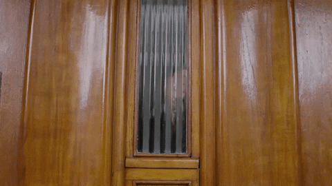 BNNVARA giphyupload bnnvara oogappels merel GIF