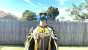 Under Arrest Handguns GIF