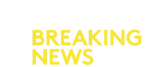Breaking News Sticker by Amuse
