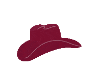 Hat Dancing Sticker by JustFab