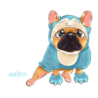 Pug Sticker
