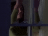 season 1 netflix GIF by Gilmore Girls 