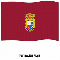 Castilla-La Mancha Flag GIF by Formación Ninja