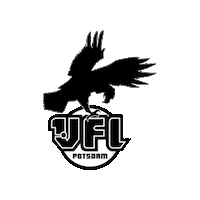 vflpotsdam bundesliga handball vfl arena Sticker