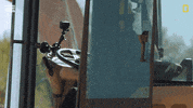 Bobbybones GIF by National Geographic Channel