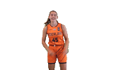 NLbasketball orangelions Sticker