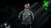 Twitch Team GIF by Sprout