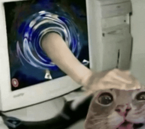 Pet Cat GIF