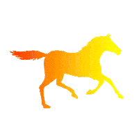 Horse Sticker by Pferdesporthaus Loesdau