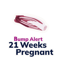 thebumpofficial pregnant pregnancy babybump babysize Sticker