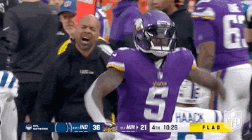 Minnesota Vikings Football GIF by NFL