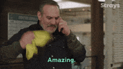 Season 2 Cbc GIF by Strays