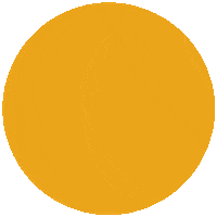 pathway pathwayconnect Sticker by BYU-Pathway Worldwide