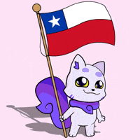 Flag Chile GIF by Lucky Kat Studios