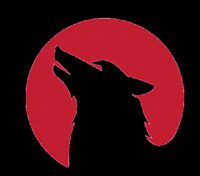 cwolfstirn  GIF