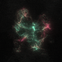 Art Loop GIF by xponentialdesign