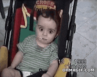 life bay GIF