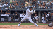 Admire Home Run GIF by MLB