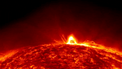aleoxth giphyupload GIF